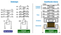 Diagrama funcional de relé auxiliar y contactor.