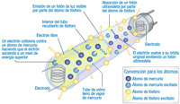 Imagen explicativa del funcionamiento de un tubo fluorescente.