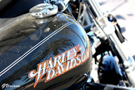 Se ve un trozo del tanque de una moto, en el que se ve el nombre de la marca, Harley Davison.