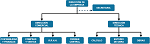 Organigrama de la estructura de una empresa constructora.