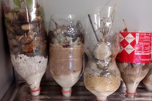 Imagen de filtros de arena caseros.