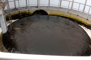 Imagen de la obra de salida y vertido en EDAR