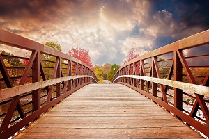 Imagen de un puente con tablero y pretil de madera