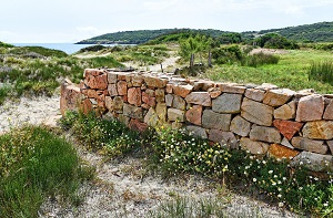 Imagen de un muro de mampostería de piedra caliza.