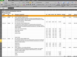 Imagen del Formato de Medición con Excel
