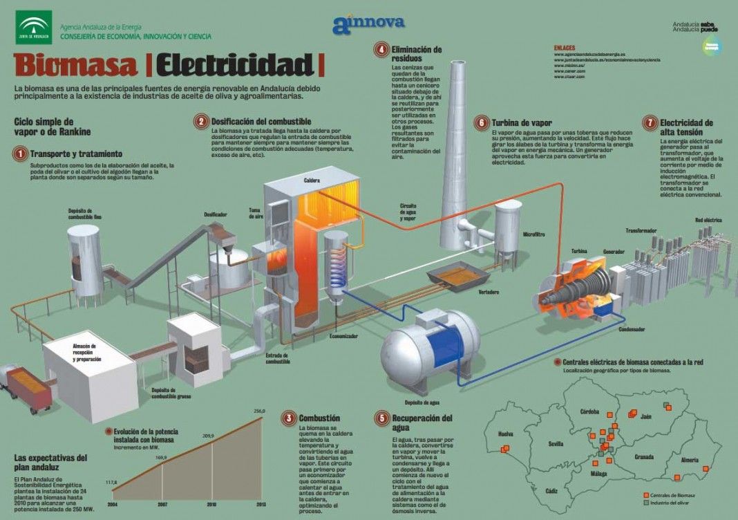 Infografía de la biomasa