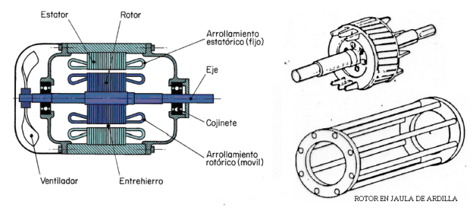 Ilustración de sección de un motor asíncrono