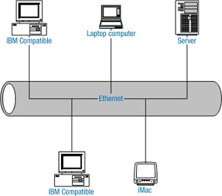 Esquema de las conexiones y equipos que forman una red LAN.