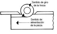 Dibujo que describe el avance de la madera hacia el árbol de la tupi.