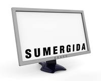 Logo Empresa Sumergida. Monitor de ordenador con la palabra Sumergida.
