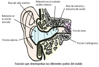 Función de diferentes partes del molde