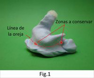 Imagen de una impresión en la que se marca la línea de la oreja delimitando la zona a conservar.