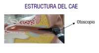 Descripción de la imagen