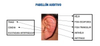 Descripción de la imagen