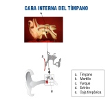 Descripción de la imagen