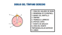 Descripción de la imagen