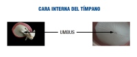 Descripción de la imagen