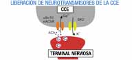 Imagen de transmisores con etiquetas