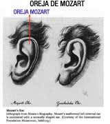 Imagen de la oreja de Mozart