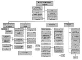 Organigrama hospitalario