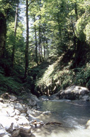 Paisaje de montaña.