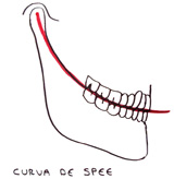 Curva de SPEE.
