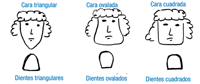 Forma de los dientes en función de si la cara es triangular, ovalada o cuadrada.