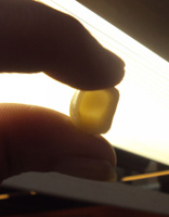 Vista a tras luz de una funda de zirconio-cerámica.