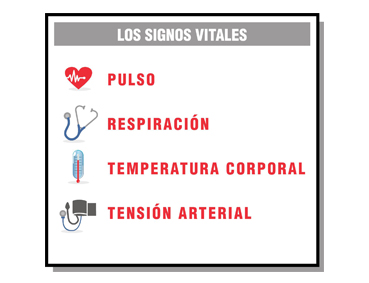 Esquema de los signos vitales. Cada signo lleva un icono y el nombre del signo. Un corazón con la gráfica del pulso, para el pulso, un fonendoscopio, para la respiración, un termómetro para la temperatura, y un esfigmomanómetro para la tensión arterial. 