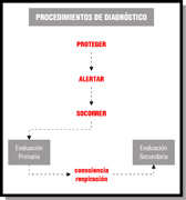 Esquema que en la parte superior lleva el título “Procedimientos de diagnóstico”. Hacia abajo, hay una serie de palabras encadenadas por líneas: Proteger – Alertar – Socorrer – Evaluación primaria – consciencia / respiración – Evaluación secundaria.