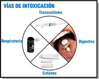 Ilustración de un círculo dividido en cuatro secciones iguales. En una se ve una boca abierta, sobre la lengua tres pastillas diferentes. A su lado la anotación 'digestiva'. En otra aparece una inyección. A su lado la anotación, 'trascutánea'. En otra sección se ve un bote de aerosol. A su lado la indicación 'respiratoria'. En otra sección aparecen tres botes de crema. A su lado la indicación 'Cutánea'.