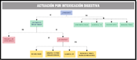 Esquema donde se parte de la pregunta ¿Consciente? Al tomar la rama indicada con respuesta 'no' nos encontramos cuatro opciones. Constantes vitales, alertar al 112, colocar en PLS, buscar el tóxico. Si tomamos la rama con respuesta 'sí' encontramos otra pregunta '¿Se conoce el tipo de tóxico?' En caso de que no se conozca se procede al traslado a un centro sanitario.  En caso de que se conozca se plantea la pregunta de si es caustico. Para la respuesta 'sí' tenemos dos ramas con las indicaciones, 'No darle nada' y 'Aviso urgente al 112'. Para la rama con la indicación 'no' tenemos otras dos ramificaciones con las indicaciones 'Llamar al INT' y 'Provocar el vómito según sus indicaciones'.