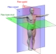 Se observa un diagrama que muestra los tres planos corporales: transversal, coronal y sagital.