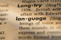 Se ve una página de un diccionario en inglés con la palabra “lan-guage” separada en sílabas.