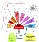 Imagen que representa un esquema donde se explican las causas de la inflamación con y sin reacción febril y inmunitaria: heridas, infecciones, enfermedades alérgicas, autoinmunes y álgicas, intoxicaciones, intolerancias alimentarias y enfermedades neoplásicas.