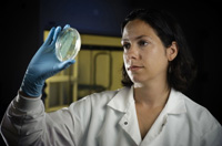 Se ve a una técnico del laboratorio de microbiología observando un antibiograma en una placa de Petri.