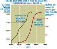 En el diagrama se observa la correlación entre el hábito tabáquico y la mortalidad por cáncer de pulmón en varones de los Estados Unidos. Se observa un decalage de 20 años entre el aumento del hábito nocivo y el aumento de los casos detectados.