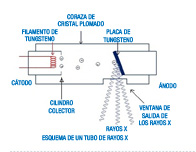 En la imagen se aprecia el esquema de un tubo de rayos X. En el esquema se aprecia la coraza externa, el ánodo, cátodo, los electrones que van del cátodo al ánodo y la formación de los rayos X y salida por la ventana del tubo.