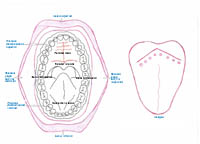 Imagen de un dibujo de la cavidad oral y del dorso lingual para poder anotar en la historia clínica las lesiones que se observan en el paciente.