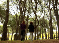 Dos personas paseando por un bosque.