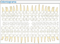 ESO02_CONT_R23_01_odontograma.png