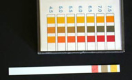 Tiras reactivas para determinación de pH.