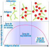 En el gráfico se visualizan tres zonas definidas por la cantidad de inmunocomplejo formado cuando se mantiene constante la concentración de anticuerpo y aumenta la de antígeno.