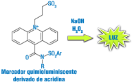 Generación de quimioluminiscencia en técnicas CMIA por derivados de acridina.