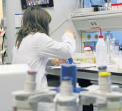 Mujer  trabajando en el banco de laboratorio.