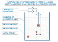 Figura donde se representa el principio de recuento celular mediante medida de las variaciones de la conductividad eléctrica. Se identifica un recipiente que contiene la suspensión celular que deseamos cuantificar en la que se ha introducido un tubo con un orificio y un sistema de electrodos, externo e interno, entre los que se establece un campo eléctrico y hace que la suspensión celular atraviese el orificio, hecho representado por dos flechas direccionadas hacia el interior del tubo.