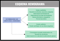 Esquema donde se clasifica los parámetros que constituyen el hemograma diferenciando el estudio cuantitativo y cualitativo, así como citando algunos parámetros que complementan este informe.