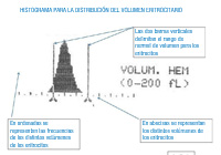 Imagen donde aparece el histograma de distribución del volumen eritrocitario acompañado de cuadros de texto explicativos de sus principales características.