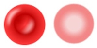 Se ven dos figuras circulares de color rojo que representan a dos hematíes. En la figura de la izquierda se aprecia su forma tridimensional con la zona central más hundida y en la figura de la derecha se aprecia su aspecto sobre un plano, con la zona central más clara y los bordes coloreados más intensamente. 