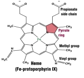 Figura que representa la estructura química del grupo hemo, constituida por 4 pentágonos, anillos pirrólicos, unidos por líneas simples y dobles. En la misma se detallan mediante líneas los radicales químicos que la caracterizan, grupos vinilos y metilos así como la posición central del átomo de hierro.